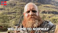 Welcome To Norway Viking