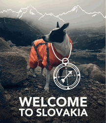 Welcome To Slovakia Surinka Dog  GIF
