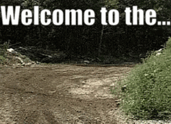 Welcome To The Party Pal Bike Race GIF