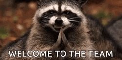 Welcome To The Team Raccoon