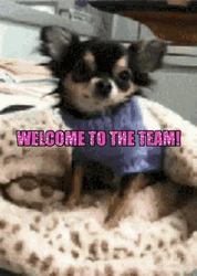 Welcome To The Team Small Dog