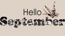 Welcoming September With Bird GIF