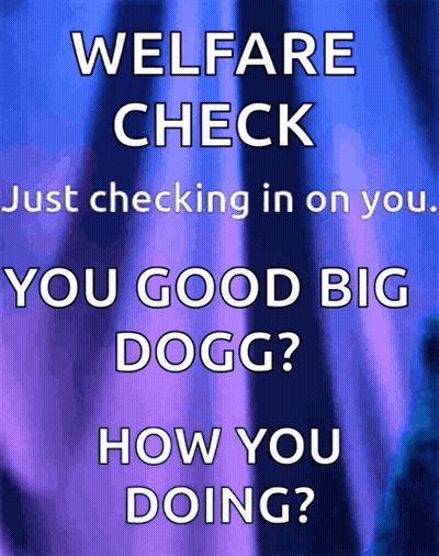 Welfare Check You Good Big Dogg GIF
