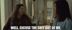 Well Excuse Me Sandra Bullock And Melissa McCarthy GIF