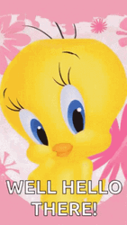 Well Hello There Tweety Bird GIF