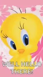 well-hello-there-tweety-bird-zdi43acrwmqxvsdl.webp