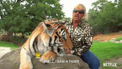 Well I Saw A Tiger King GIF