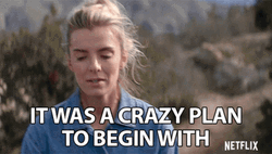 Well There It Is A Crazy Plan GIF