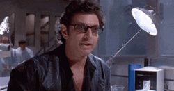 Well There It Is Jeff Goldblum GIF