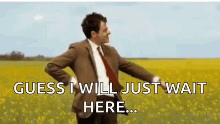 Well We're Waiting Mr Bean Rowan Atkinson GIF