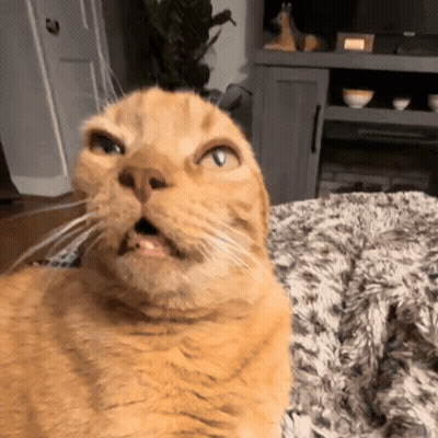 Well Well Well Look Who It Is GIF