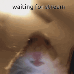 Well Were Waiting For Stream Hamster