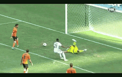 Wellington Phoenix Goal Wellington Phoenix GIF