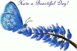 Wellness Wednesday Have A Beautiful Day GIF