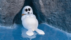 Welp Falling White Seal GIF