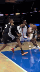 Wemby Giannis Block GIF