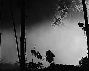 Wendigo Seen Upon The Mist GIF