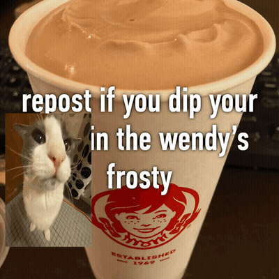 Wendy's Frosty Cup With Cat Standing Next To It GIF