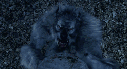 Werewolf Attacking Underworld Rise Of The Lycans GIF