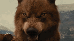 Werewolf Scary Fangs Twilight GIF