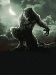 Werewolf Silhouette Burning Sky GIF