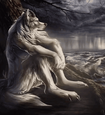 Werewolf Sitting On Rock By Water GIF