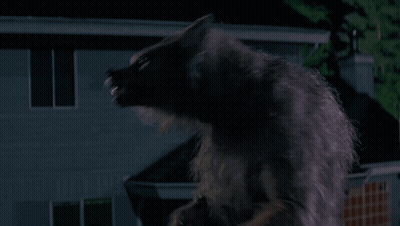 Werewolf With Open Mouth GIF