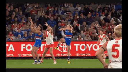 Western Bulldogs Afl GIF