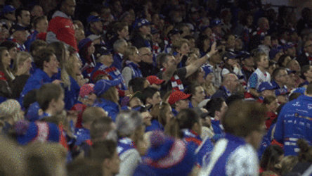 Western Carolina University Fan Stand And Cheer GIF
