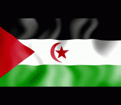 Western Sahara Flag Designs