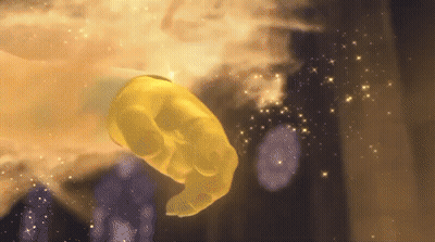Westernwlnd Shrek GIF