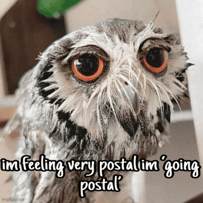 Wet Owl I'm Going Postal GIF