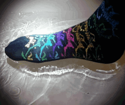 Wet Sock Satisfaction GIF