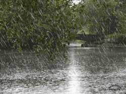 Wet Street On A Rainy Day GIF