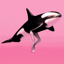 Whale Human Legs GIF