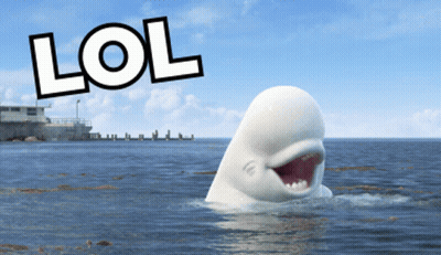 Whale In Ocean LOL GIF