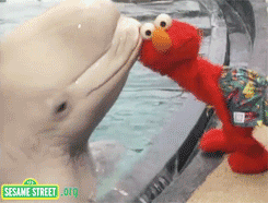 Whale Sesame Street Kiss GIF