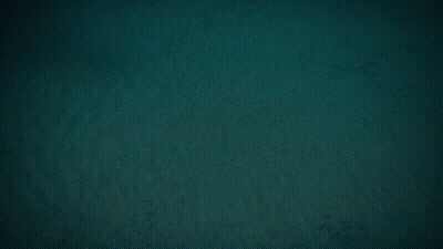 Whale Shark Swimming In Dark Waters GIF