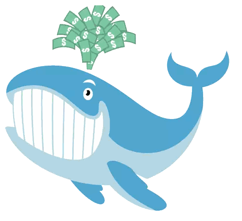 Whale Wearing Sunglasses With Money Sticker