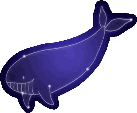 Whale With Stars Sticker