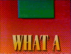 What A Hilarious Wednesday GIF