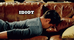 What An Idiot Pillow Head Bang GIF