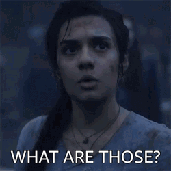 What Are Those A Wheel Of Time Egwene Al Vere GIF