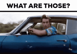 What Are Those Ace Ventura Meme GIF