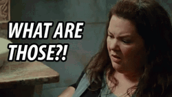 What Are Those The Heat Melissa Mccarthy GIF