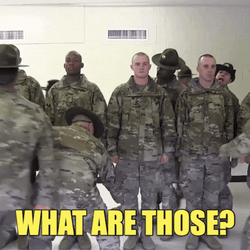 What Are Those US Army Lining Up GIF