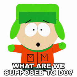 What Are We Supposed To Do GIF