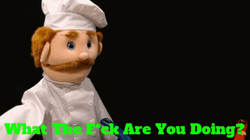 What Are You Doing GIF