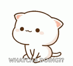 What Are You Doing Cute Anime Cat Mochi GIF