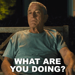 What Are You Doing Salvo Maniscalco GIF